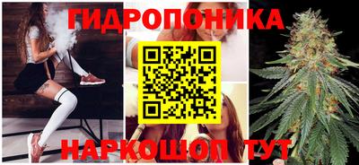 индика Бузулук