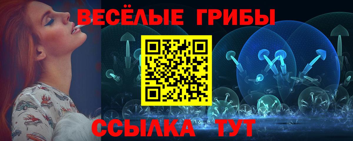 Галлюциногенные грибы GOLDEN TEACHER  Вход с VPN  Сургут 